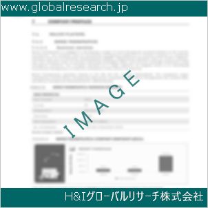 グローバルリサーチ調査資料のイメージ